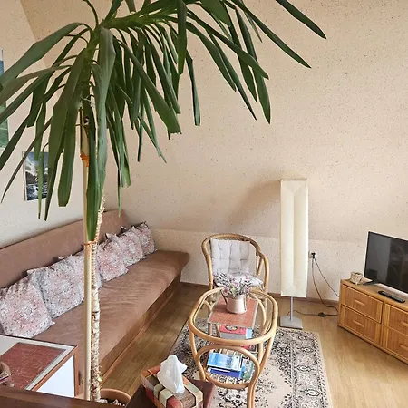 Homestay Goscinne 