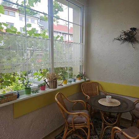 Homestay Goscinne 